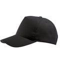 Buzz Cap 88119